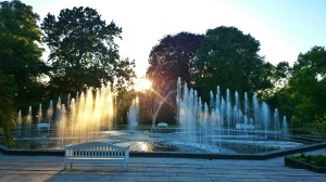 Fountain Palmengarten