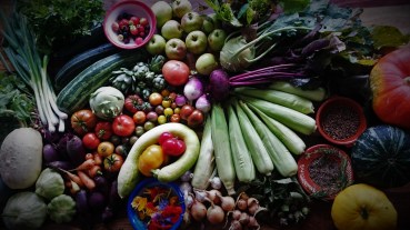 Urban gardening Amsterdam - September harvest