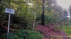 Polenfriedhof Wildflecken