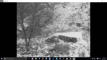 Saal 1965 crematorium