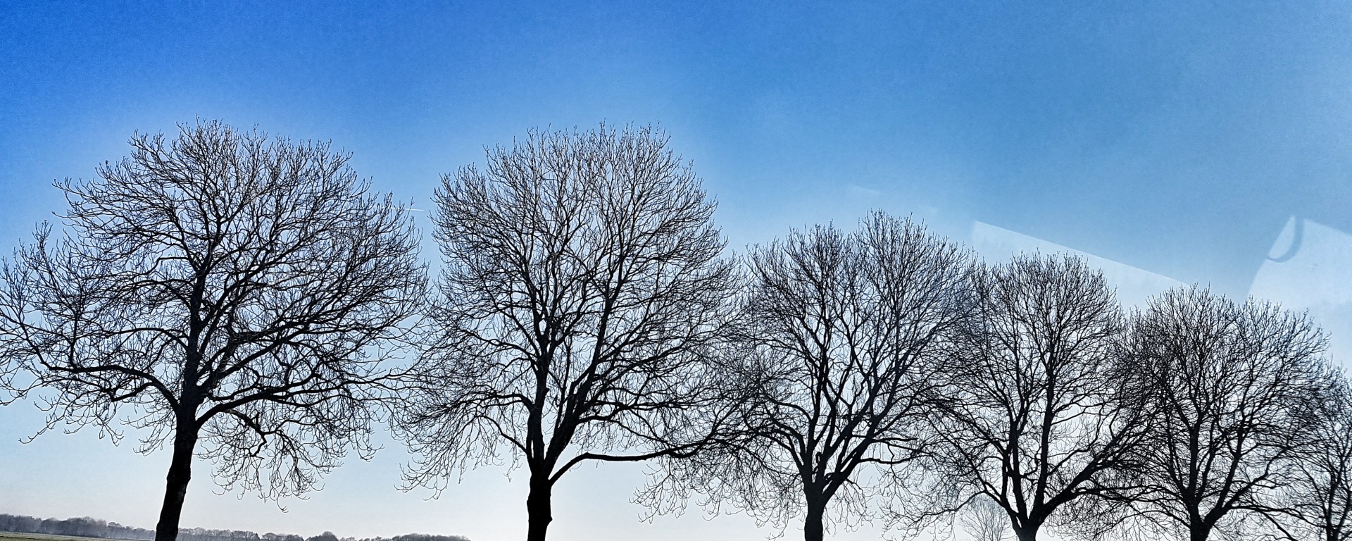 The Quest for Jan van Boeckel