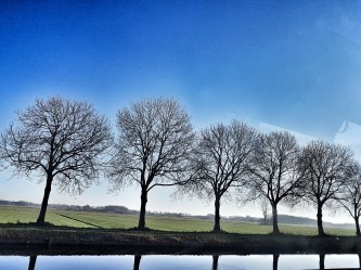 The Quest for Jan van Boeckel